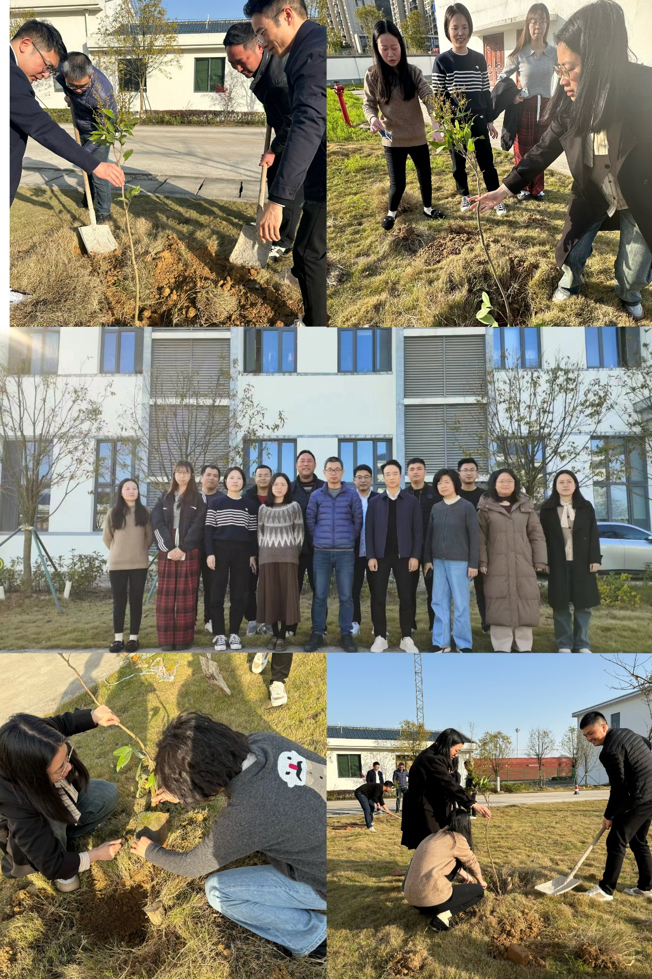 2024-3-12綠色陸港，美麗寧德，阮克妙拍攝.jpg